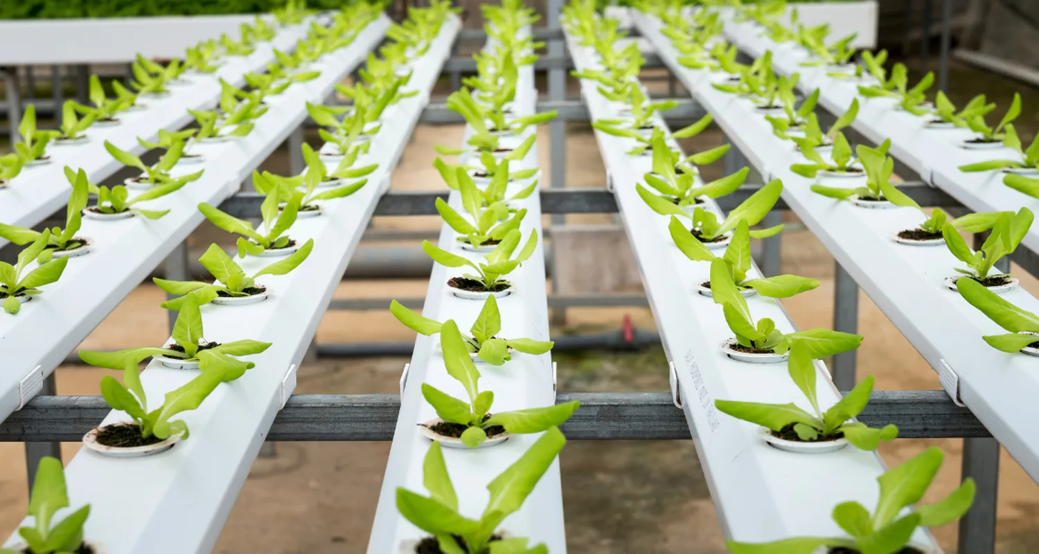 Leading agriculture innovation and market transformation with biologicals